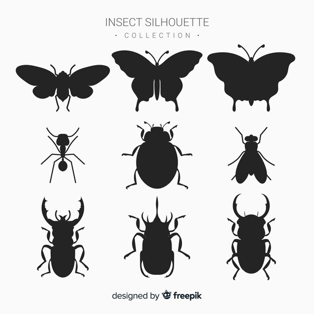 Colección siluetas de insectos planas