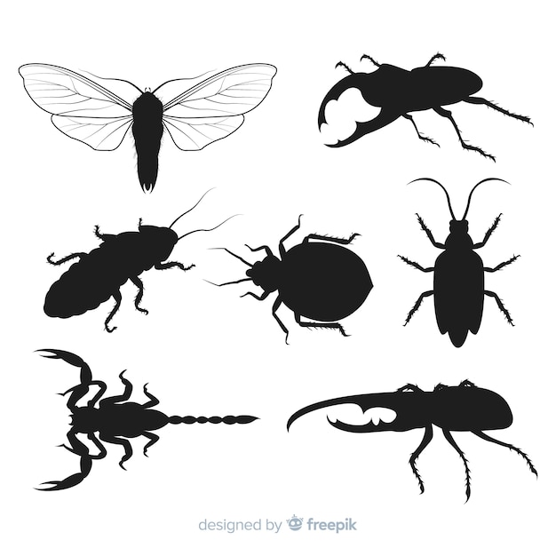 Vector gratuito colección siluetas de insectos planas