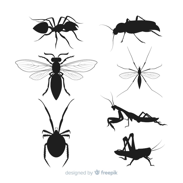 Colección siluetas de insectos planas