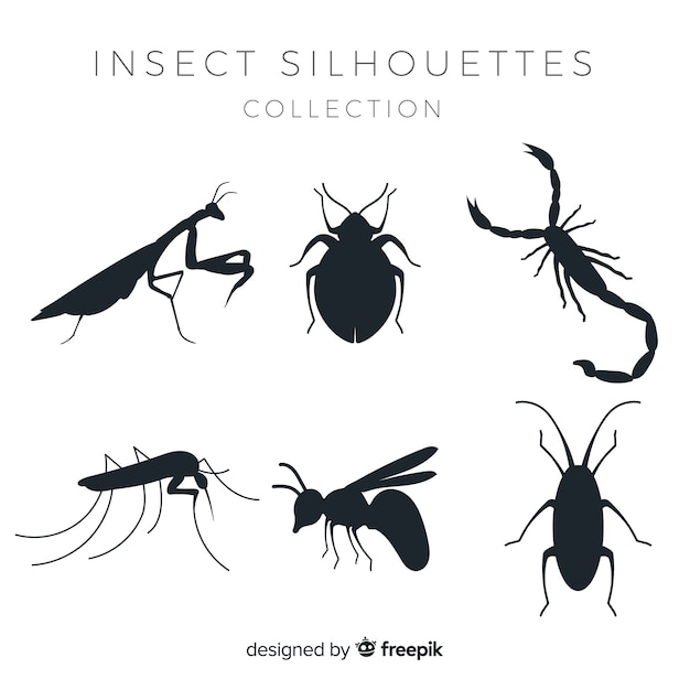 Vector gratuito colección siluetas de insectos planas