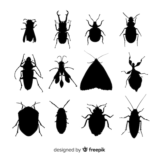 Vector gratuito colección siluetas de insectos planas