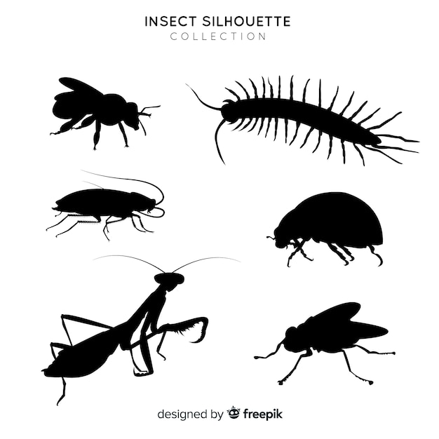 Vector gratuito colección siluetas de insectos planas