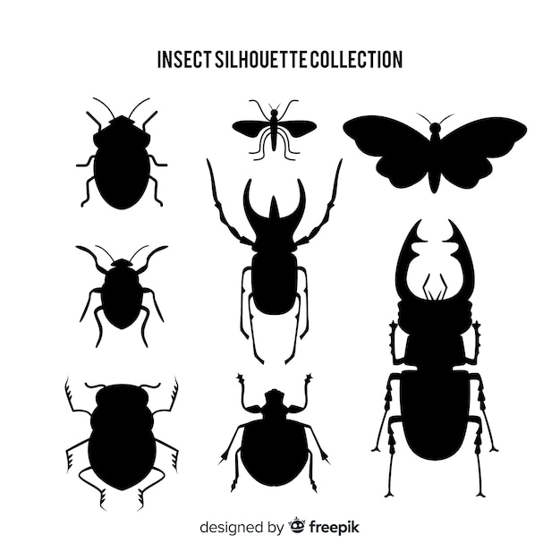 Colección siluetas de insectos planas