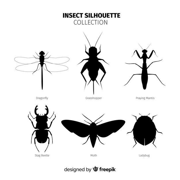 Colección siluetas de insectos planas