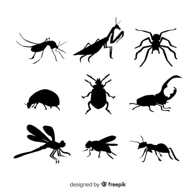 Colección siluetas de insectos planas