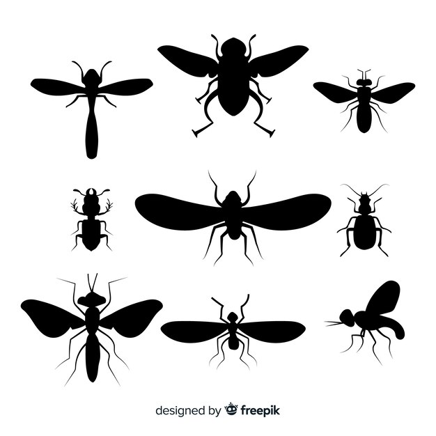 Colección siluetas insectos voladores