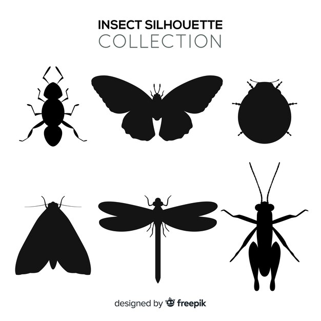 Colección siluetas insectos 