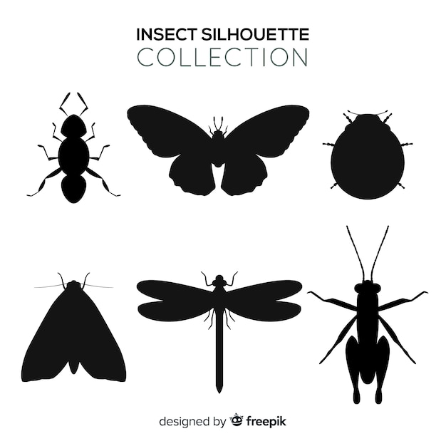 Colección siluetas insectos 