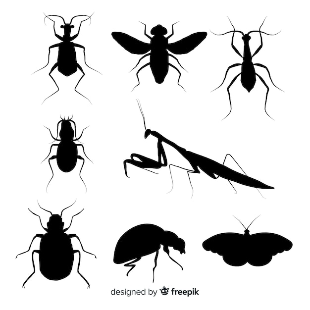Vector gratuito colección siluetas insectos