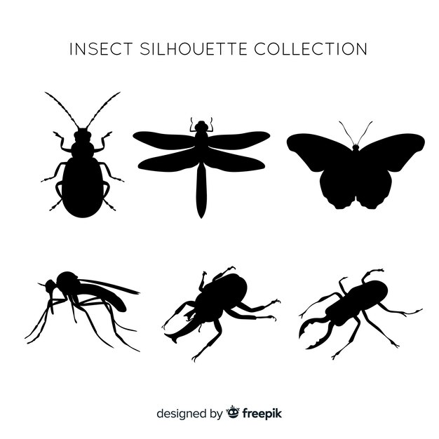 Colección de siluetas de insectos