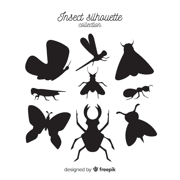Colección de siluetas de insectos