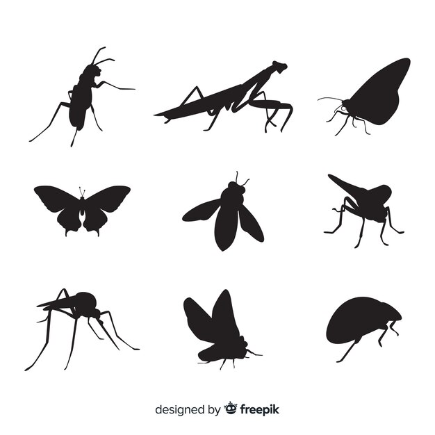 Colección siluetas de insectos