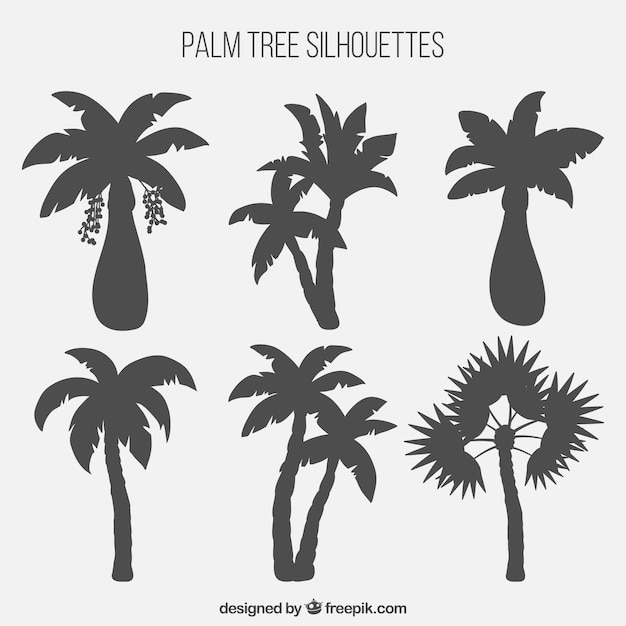 Colección de siluetas de palmeras