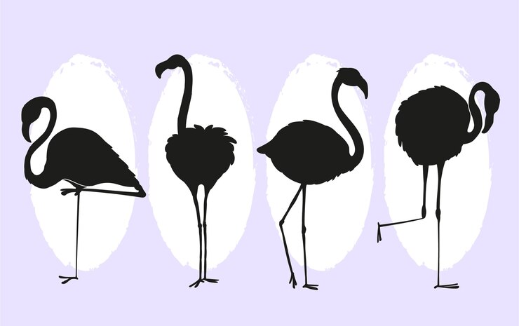 Vector gratuito colección de siluetas planas de flamencos