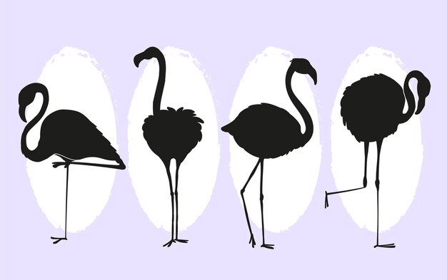 Colección de siluetas planas de flamencos