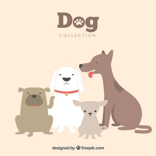 Vector gratuito colección de simpáticos perros