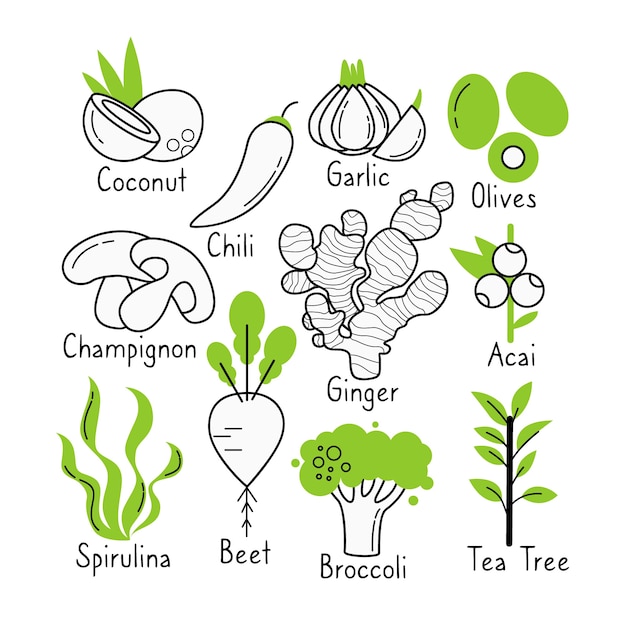 Vector gratuito colección superfood diseño dibujado a mano