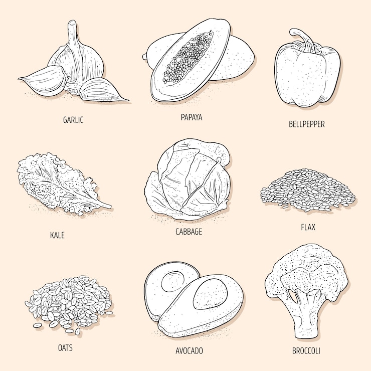 Vector gratuito colección superfood estilo dibujado a mano