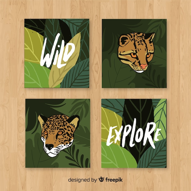 Vector gratuito colección de tarjetas de animales dibujadas a mano.