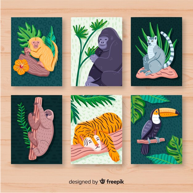 Colección tarjetas animales salvajes dibujadas a mano