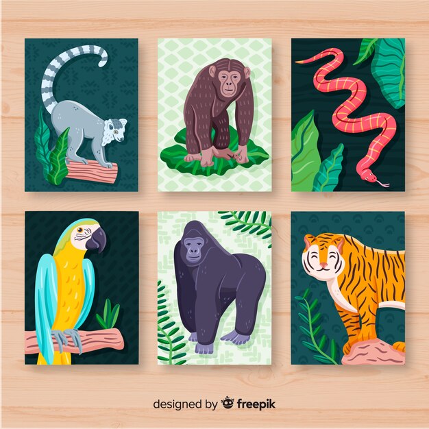 Colección tarjetas animales salvajes dibujadas a mano