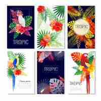 Vector gratuito colección de tarjetas de diseño tropical