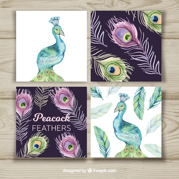 Vector gratuito colección de tarjetas con diseños creativos de pavo real