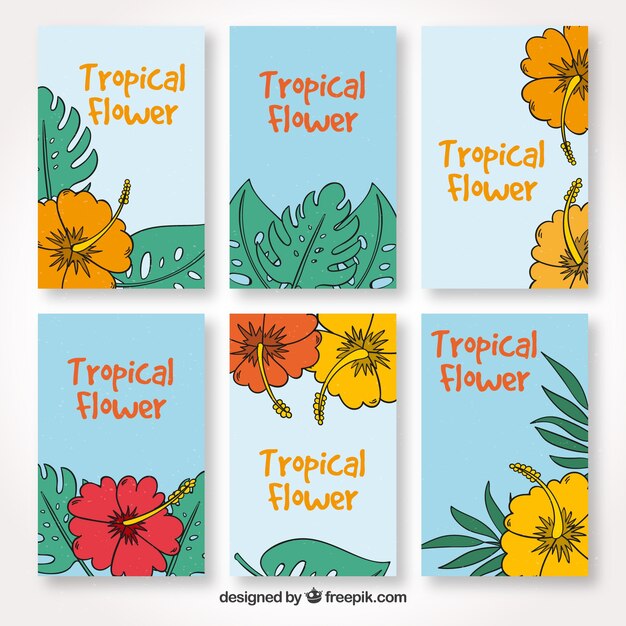 Colección de tarjetas de flores tropicales dibujadas a mano 
