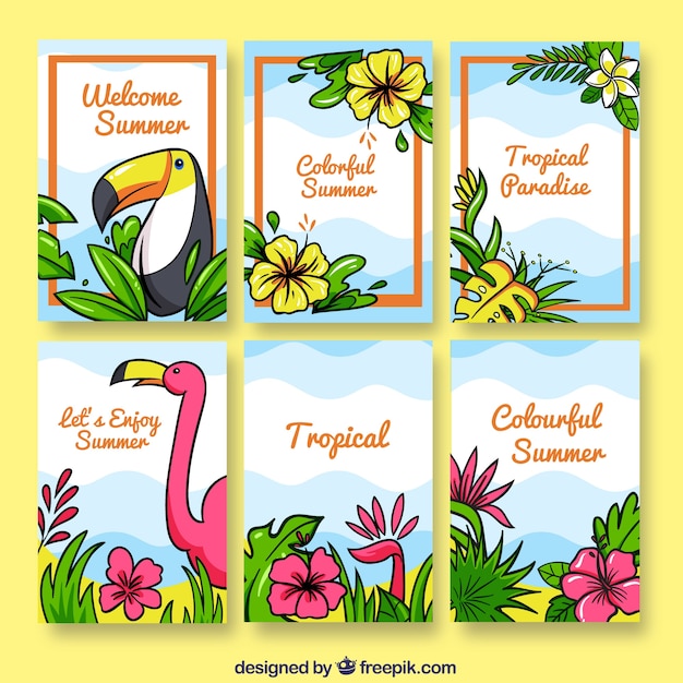 Vector gratuito colección de tarjetas de flores tropicales