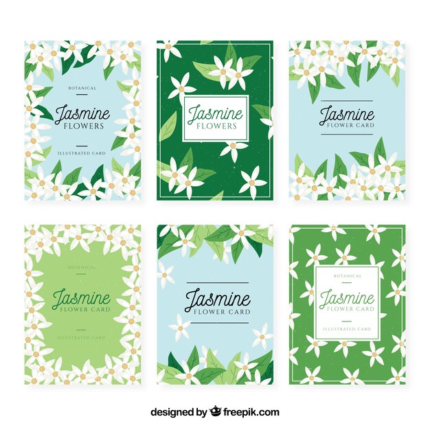 Colección de tarjetas de jazmin con flores blancas