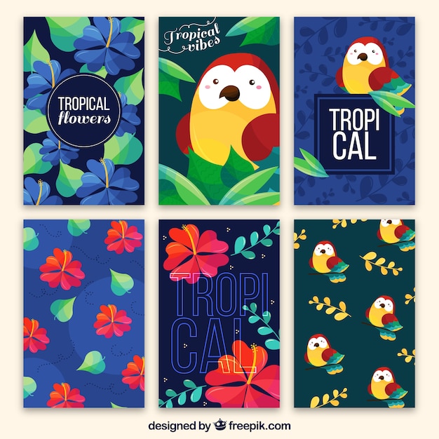 Vector gratuito colección de tarjetas tropicales con búho y flores