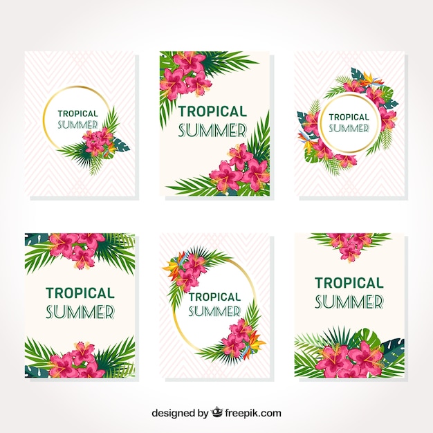 Vector gratuito colección de tarjetas tropicales