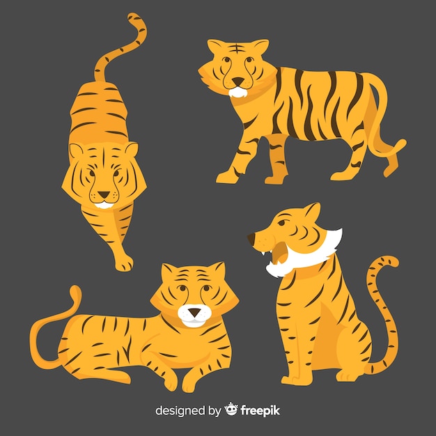 Colección de tigres dibujados a mano