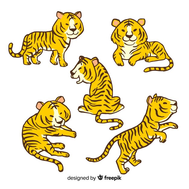 Colección de tigres dibujados a mano