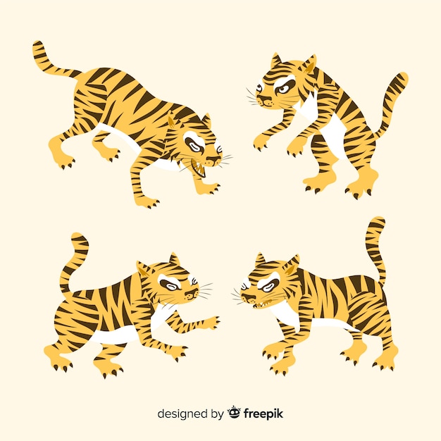 Colección de tigres dibujados a mano