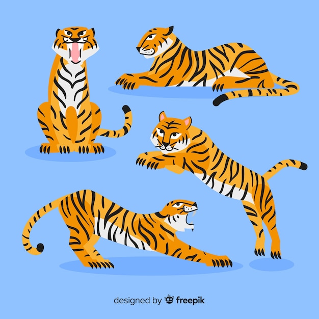 Vector gratuito colección de tigres estilo dibujo a mano