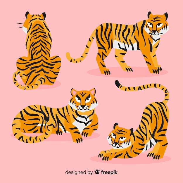 Colección de tigres estilo dibujo a mano