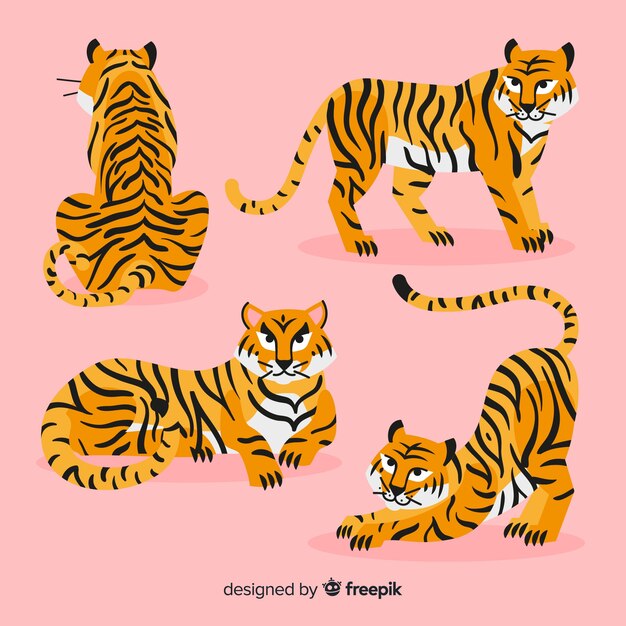 Colección de tigres estilo dibujo a mano