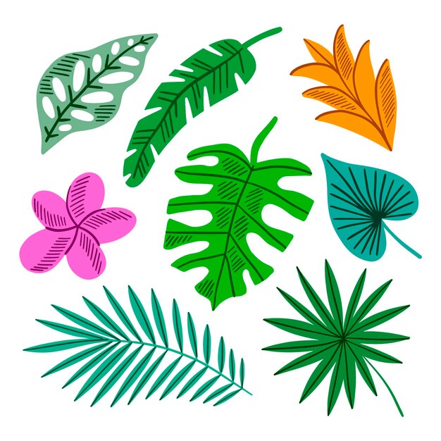 Vector gratuito colección tropical de hojas y flores de colores