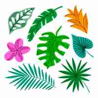 Vector gratuito colección tropical de hojas y flores de colores