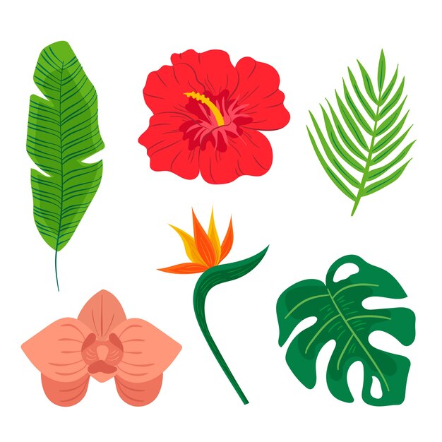 Colección tropical de hojas y flores