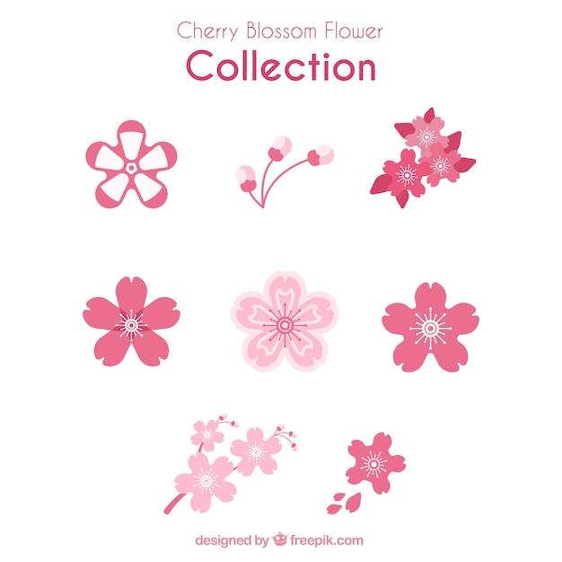 Vector gratuito colección de variedad de flores del cerezo