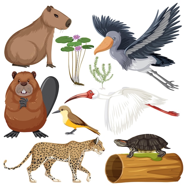 Colección de varios animales de humedales