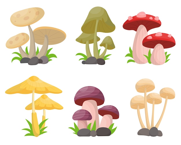 Colección de varios tipos de dibujo de champiñones frescos aislado en la ilustración de vector de alimentos orgánicos naturales blancos
