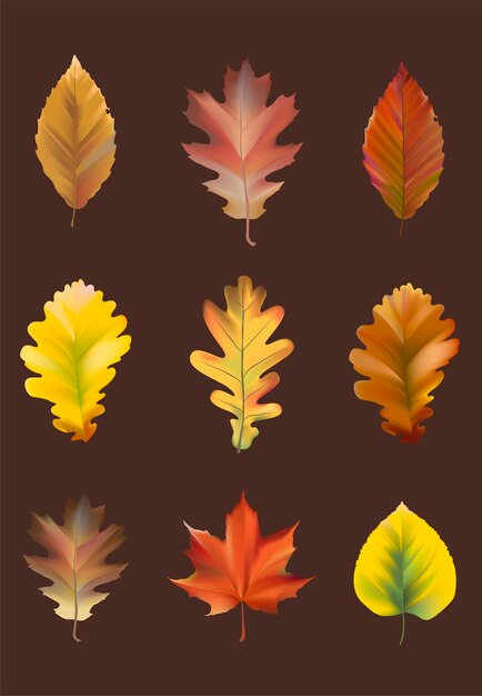 Colección de vector de hojas de otoño