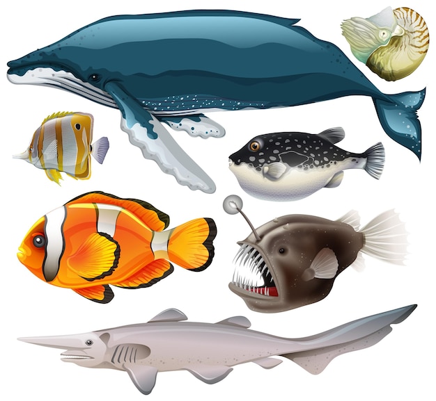 Vector gratuito colección de vectores de animales marinos
