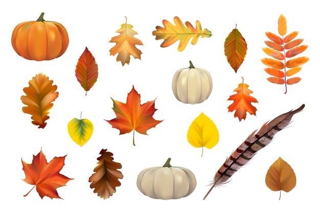 Colección de vectores de hojas de otoño