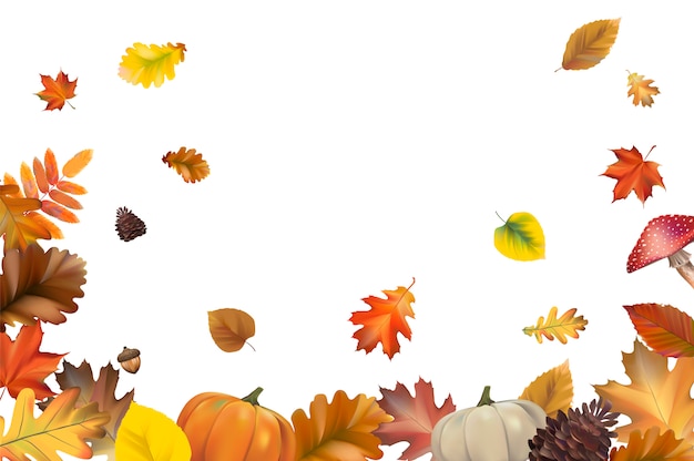 Vector gratuito colección de vectores de hojas de otoño