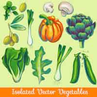 Vector gratuito colección de verduras aisladas