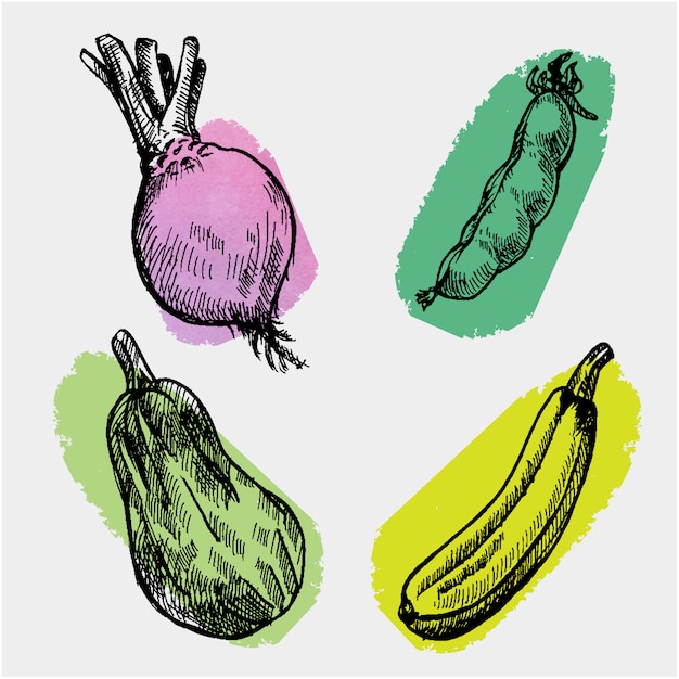 Colección de verduras dibujadas a mano